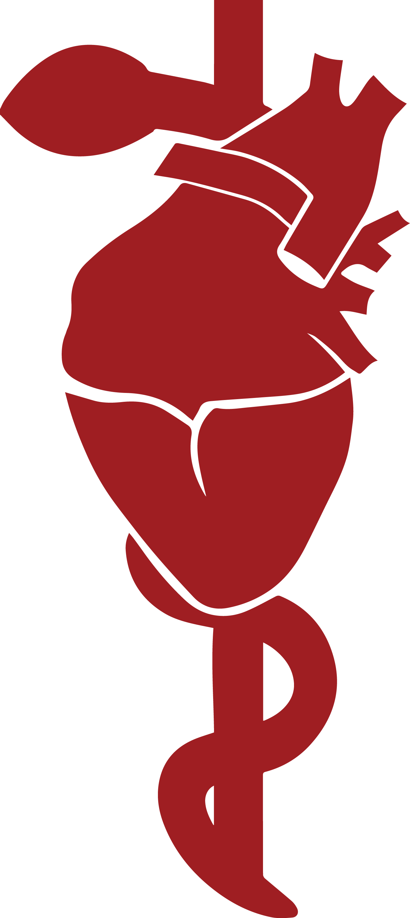 CARDIOLOGOS LOGO (1)